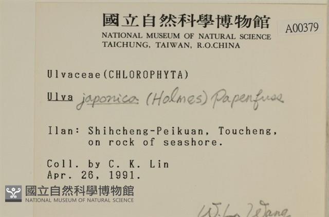 登錄號:A00000379藏品圖，第2張