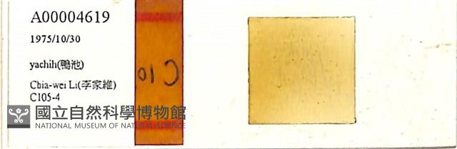 登錄號:A00004619藏品圖，第1張