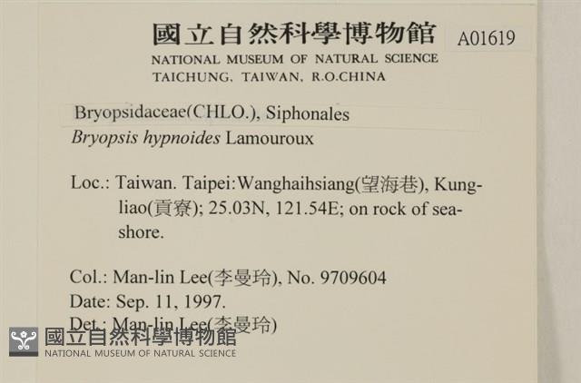 登錄號:A00001619藏品圖，第2張