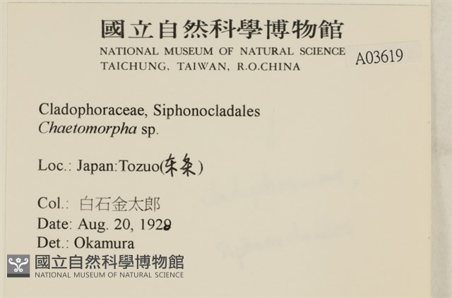 登錄號:A00003619藏品圖，第2張