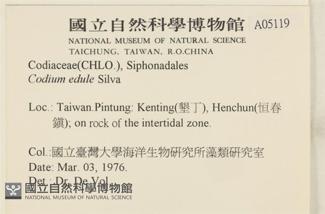 登錄號:A00005119藏品圖，第2張