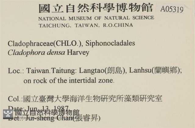 登錄號:A00005319藏品圖，第2張