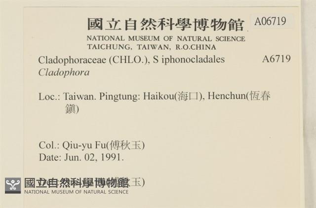 登錄號:A00006719藏品圖，第2張