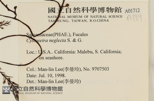 登錄號:A00001719藏品圖，第2張