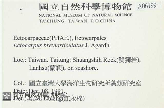 登錄號:A00006199藏品圖，第2張