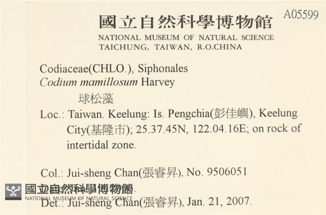登錄號:A00005599藏品圖，第2張