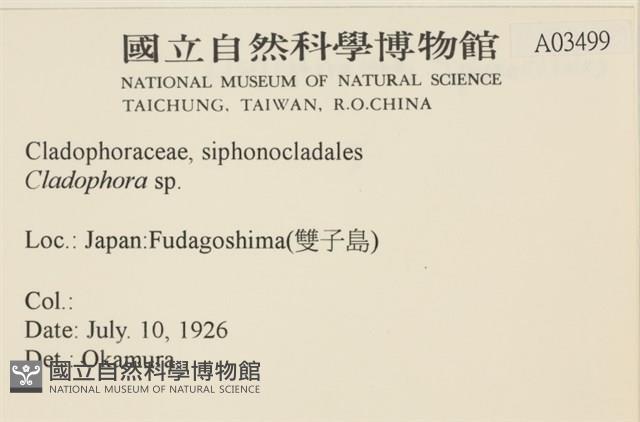 登錄號:A00003499藏品圖，第2張