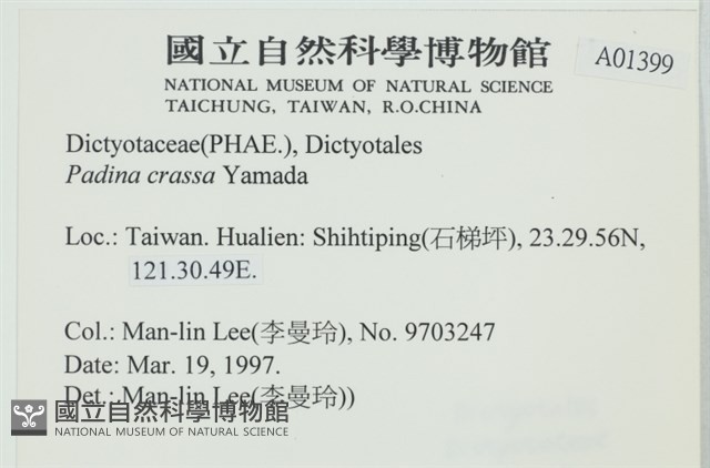 登錄號:A00001399藏品圖，第2張