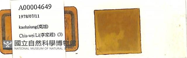 登錄號:A00004649藏品圖，第1張
