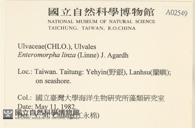 石髮藏品圖，第2張