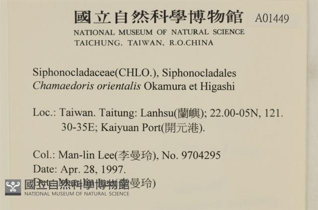 登錄號:A00001449藏品圖，第2張