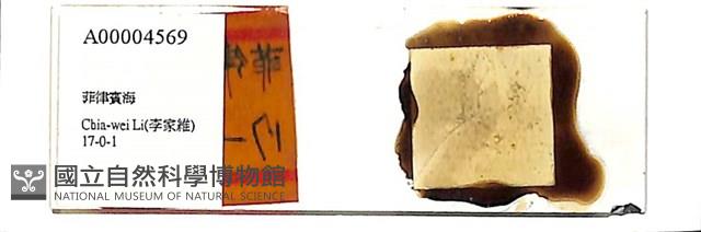 登錄號:A00004569藏品圖，第1張