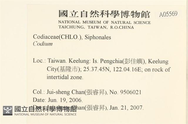 登錄號:A00005569藏品圖，第2張