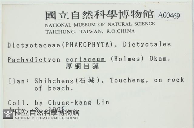 厚網目藻藏品圖，第2張