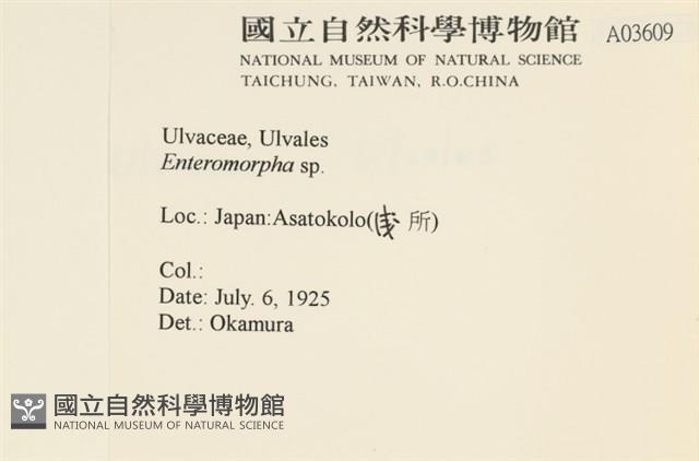 登錄號:A00003609藏品圖，第2張