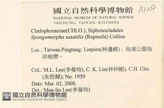 登錄號:A00007009藏品圖，第2張