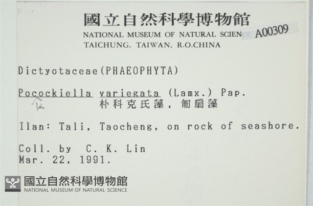 登錄號:A00000309藏品圖，第2張