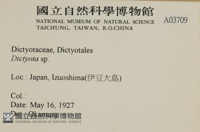 登錄號:A00003709藏品圖，第2張