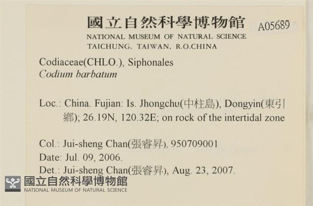 登錄號:A00005689藏品圖，第2張