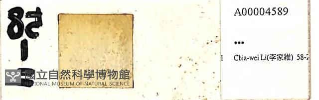 登錄號:A00004589藏品圖，第1張