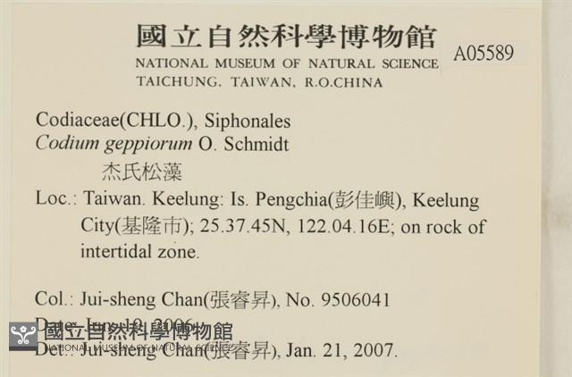 登錄號:A00005589藏品圖，第2張