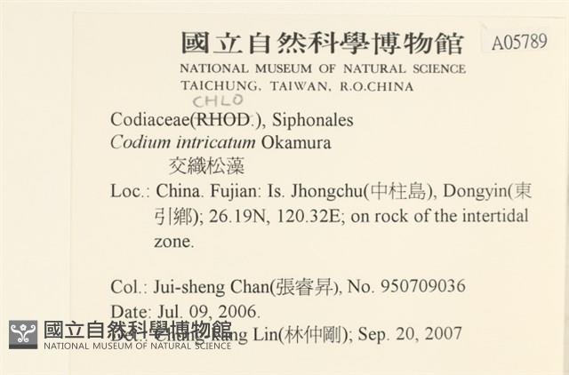 登錄號:A00005789藏品圖，第2張