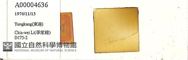 登錄號:A00004636藏品圖，第1張
