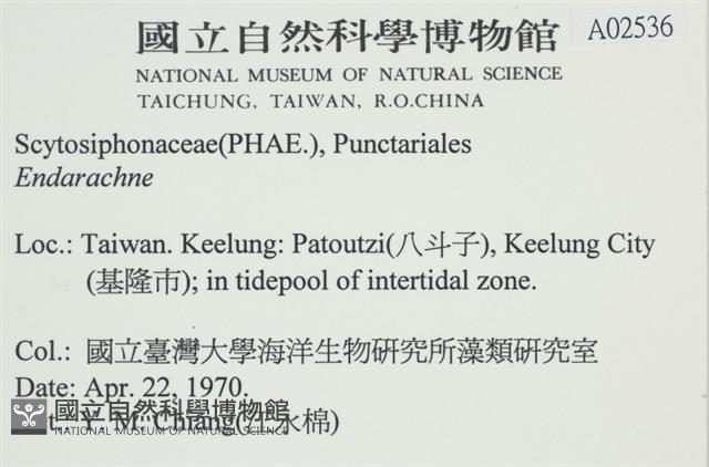 登錄號:A00002536藏品圖，第2張
