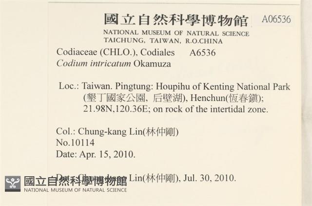 登錄號:A00006536藏品圖，第2張