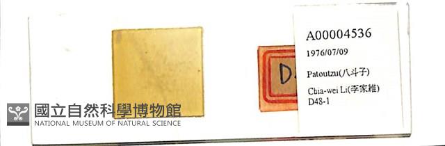 登錄號:A00004536藏品圖，第1張