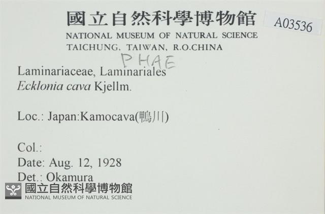 登錄號:A00003536藏品圖，第2張