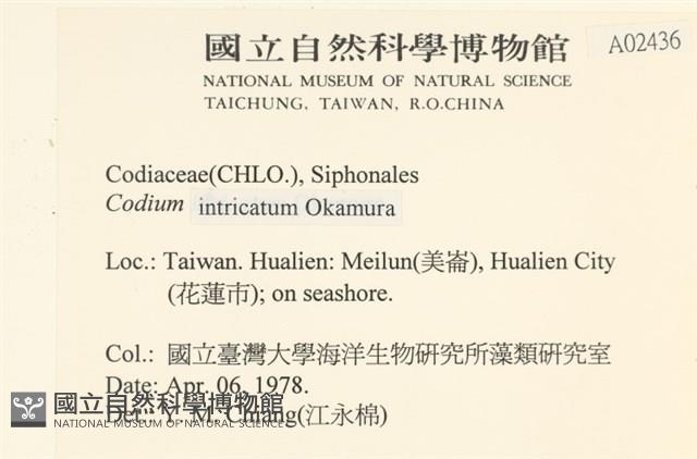 登錄號:A00002436藏品圖，第2張