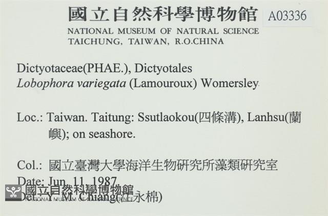 登錄號:A00003336藏品圖，第2張