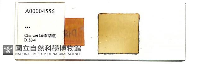 登錄號:A00004556藏品圖，第1張
