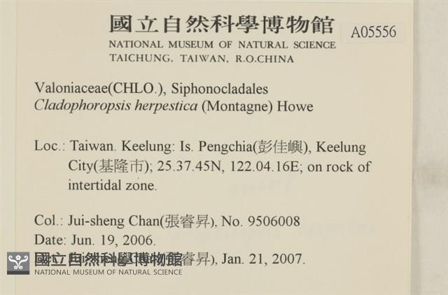 登錄號:A00005556藏品圖，第2張