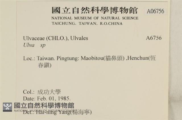 登錄號:A00006756藏品圖，第2張