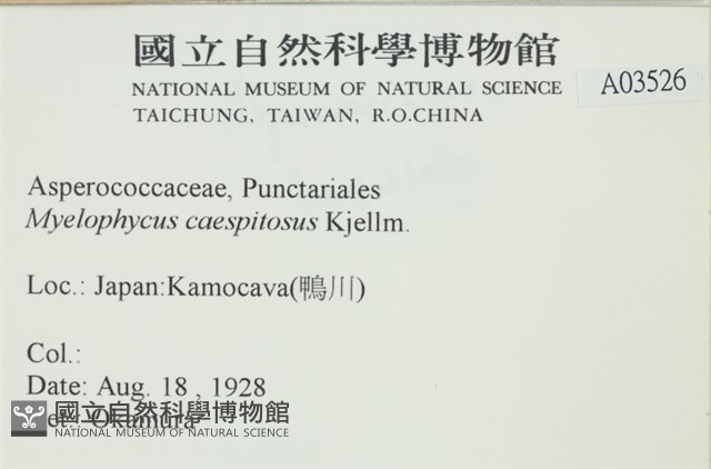 登錄號:A00003526藏品圖，第2張