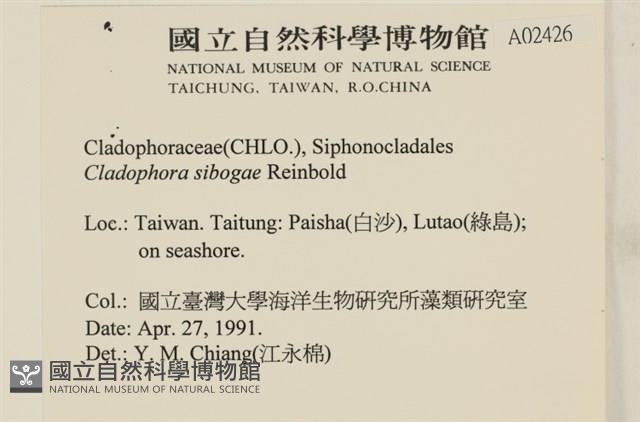 登錄號:A00002426藏品圖，第2張