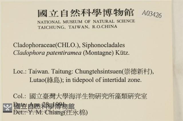 登錄號:A00003426藏品圖，第2張