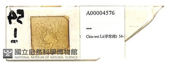 登錄號:A00004576藏品圖，第1張