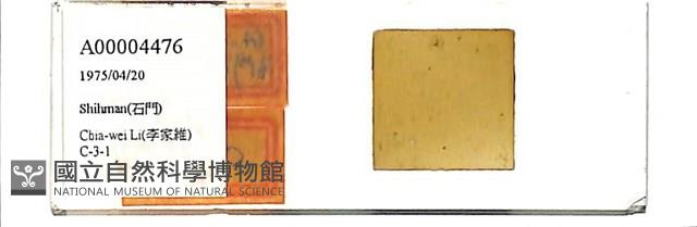 登錄號:A00004476藏品圖，第1張