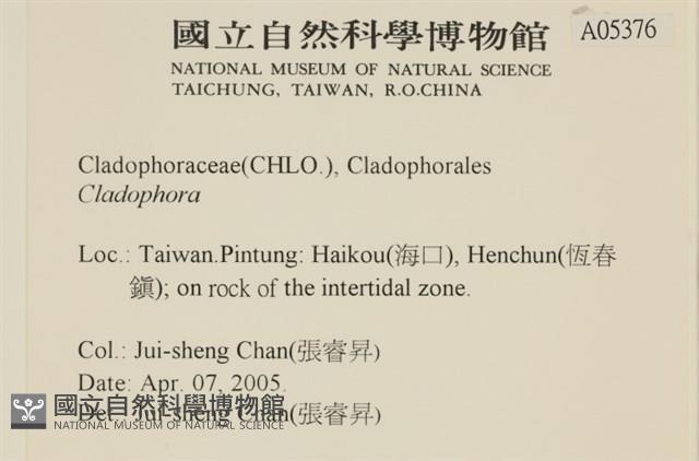 登錄號:A00005376藏品圖，第2張