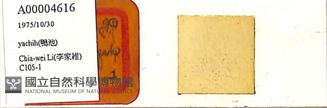 登錄號:A00004616藏品圖，第1張
