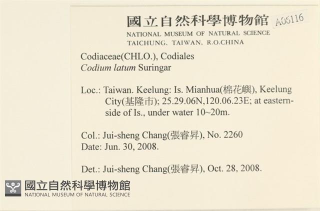 登錄號:A00006116藏品圖，第2張