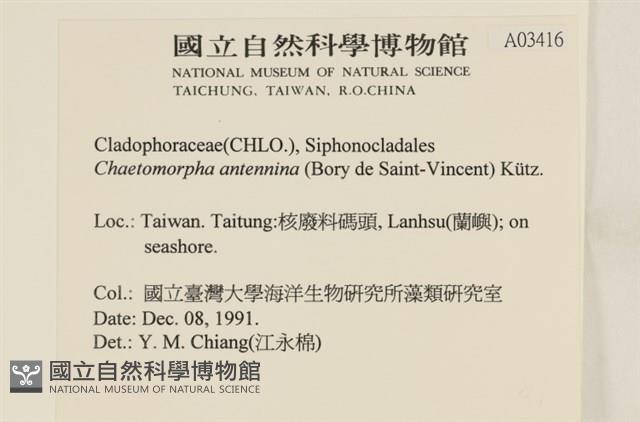 登錄號:A00003416藏品圖，第2張