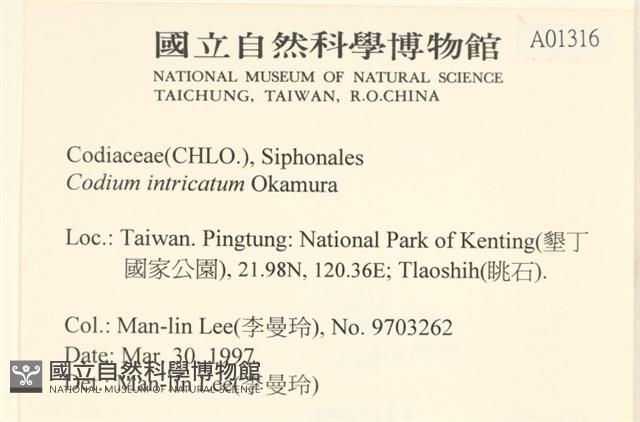 登錄號:A00001316藏品圖，第2張