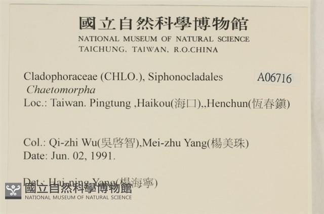 登錄號:A00006716藏品圖，第2張