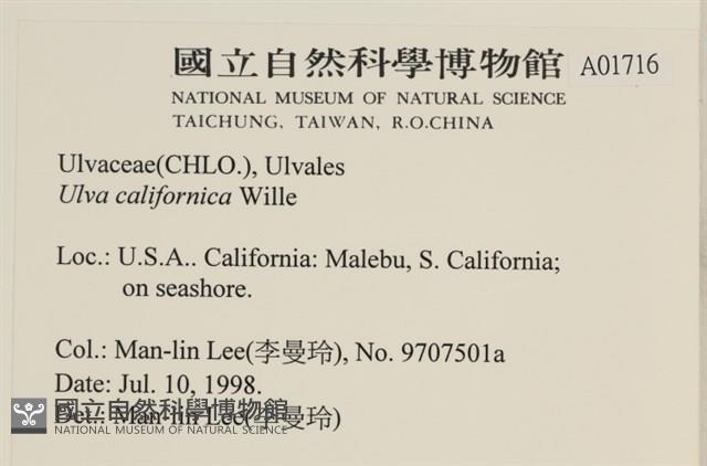 登錄號:A00001716藏品圖，第2張