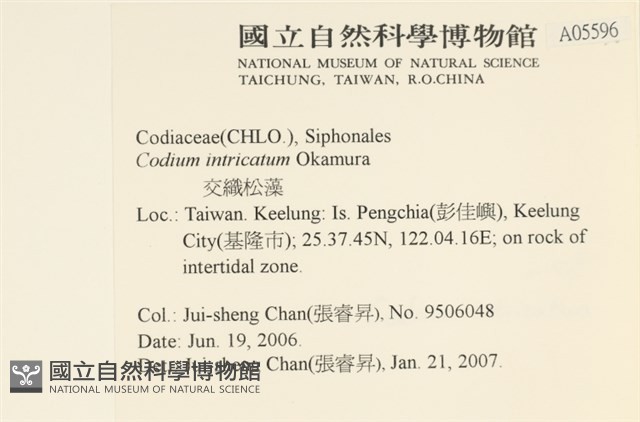 登錄號:A00005596藏品圖，第2張
