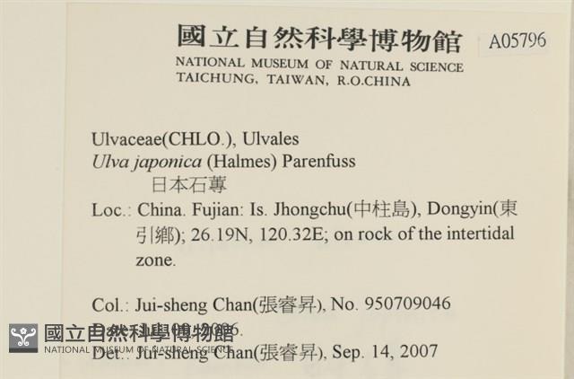 登錄號:A00005796藏品圖，第2張